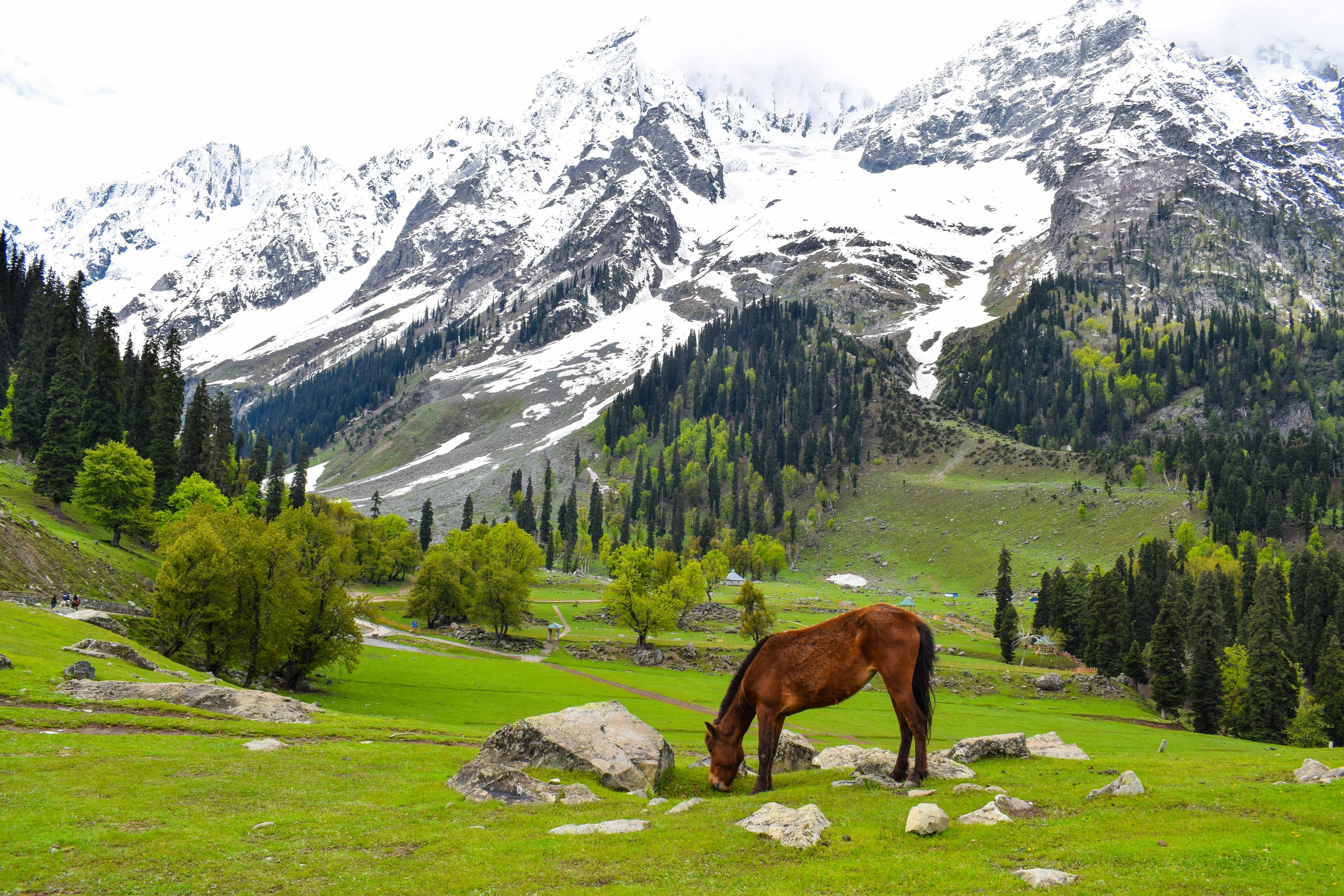 Heavenly Kashmir Heavenly Kashmir
